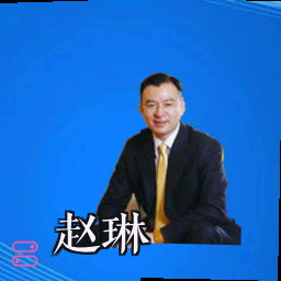 赵琳